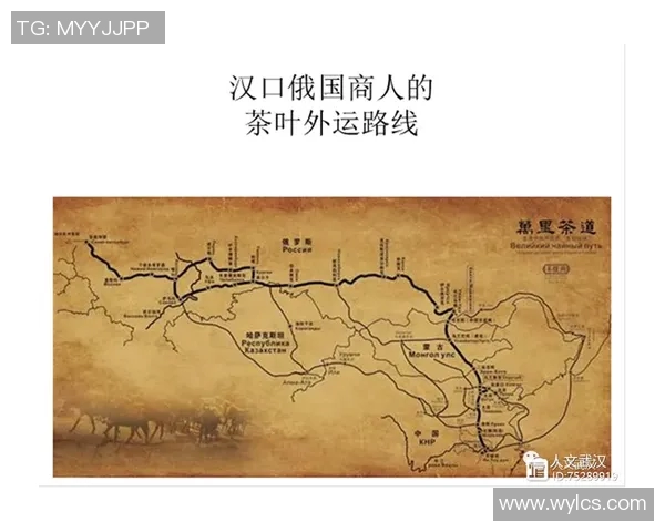 杭州排球队的节奏解析与排球热点的深度探讨 杭州排球队的节奏解析与排球热点的深度探讨