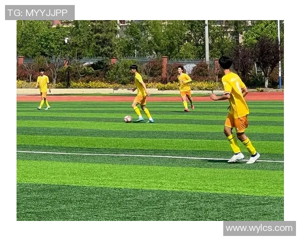 新化足球明星盘点谁是最具影响力的球员和未来之星