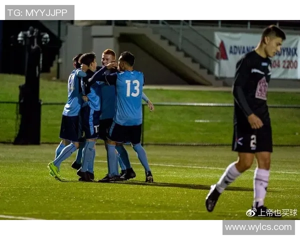 成都足球队在钻石联赛中的实力表现分析与未来展望