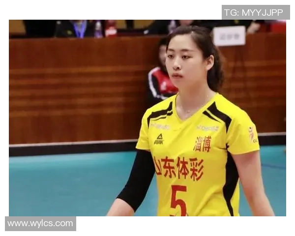 杭州羽毛球队逆袭之路揭秘精英赛背后的奋斗与荣耀