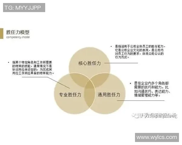 武汉排球队杯赛个人能力分析与表现评估 武汉排球队杯赛个人能力分析与表现评估