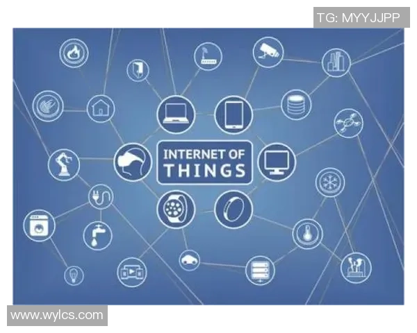 广州羽毛球队的转型之路与未来发展展望分析