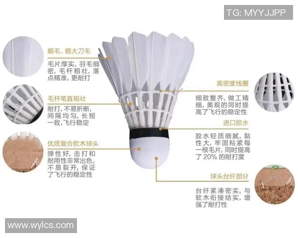 重庆羽毛球队攻势变革揭秘:新战术如何引领羽坛风潮 重庆羽毛球队攻势变革揭秘:新战术如何引领羽坛风潮