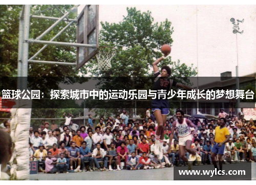 篮球公园：探索城市中的运动乐园与青少年成长的梦想舞台