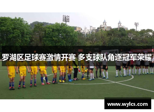 罗湖区足球赛激情开赛 多支球队角逐冠军荣耀
