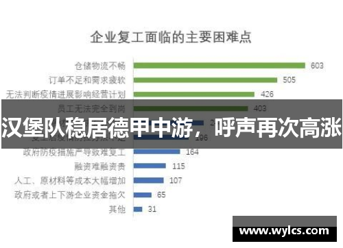 汉堡队稳居德甲中游，呼声再次高涨