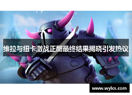 维拉与纽卡激战正酣最终结果揭晓引发热议